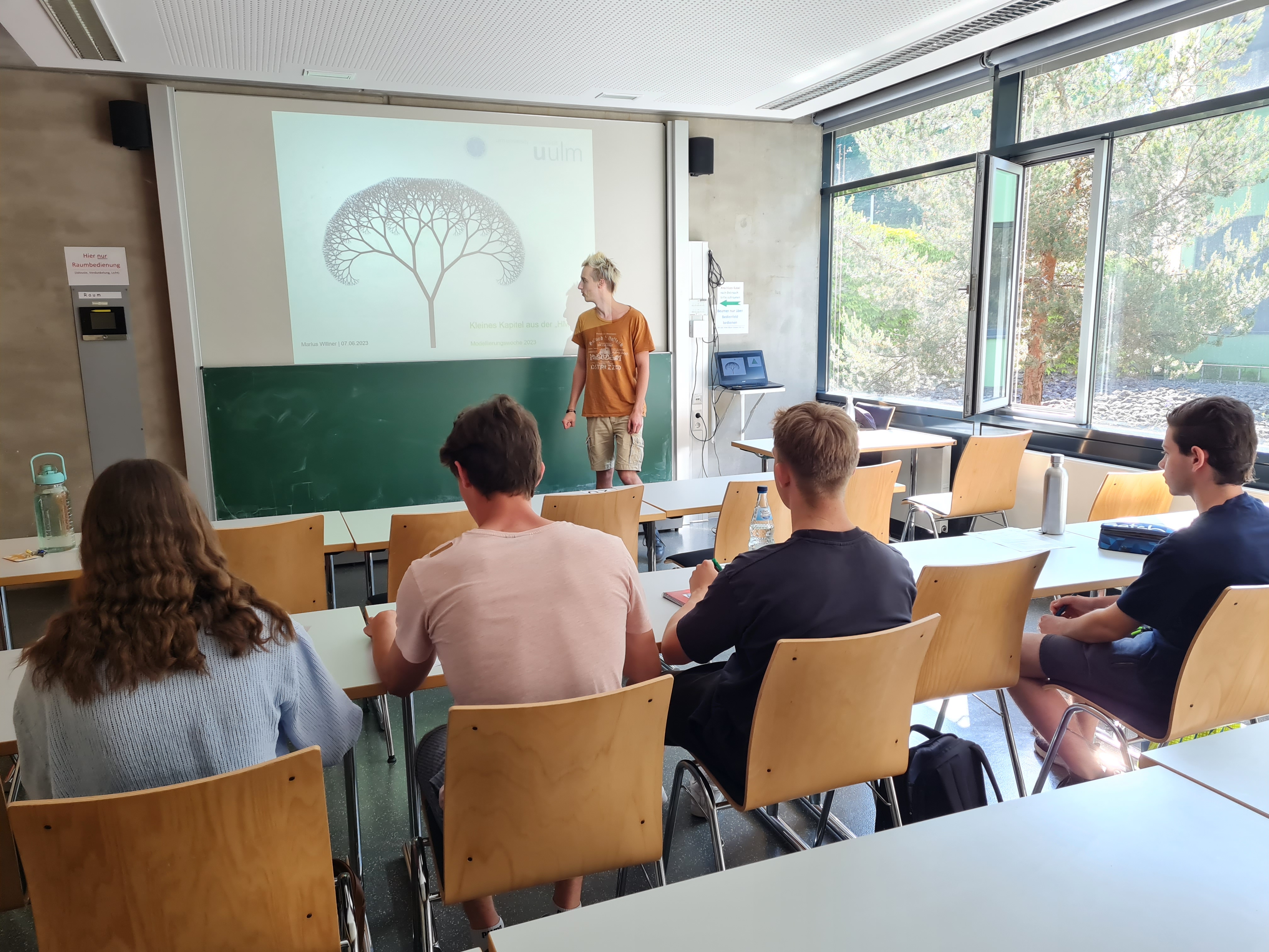 Fraktale: Marius greift ein Thema der Höheren Mathematik auf, was er dann erklärt