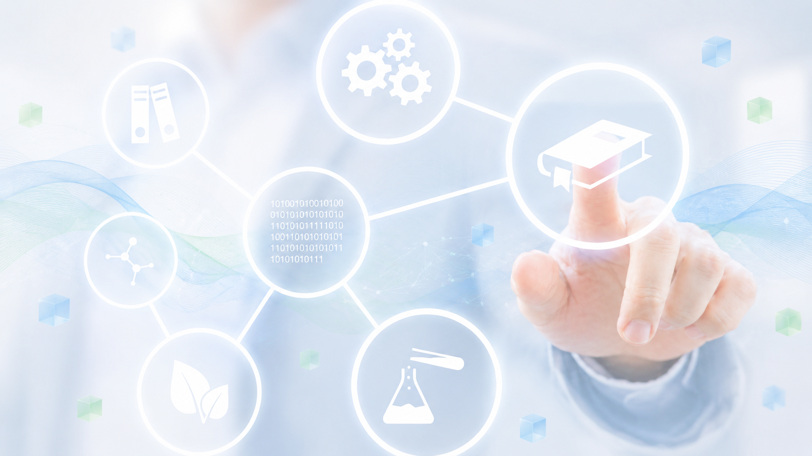 Scientific Director of the Network