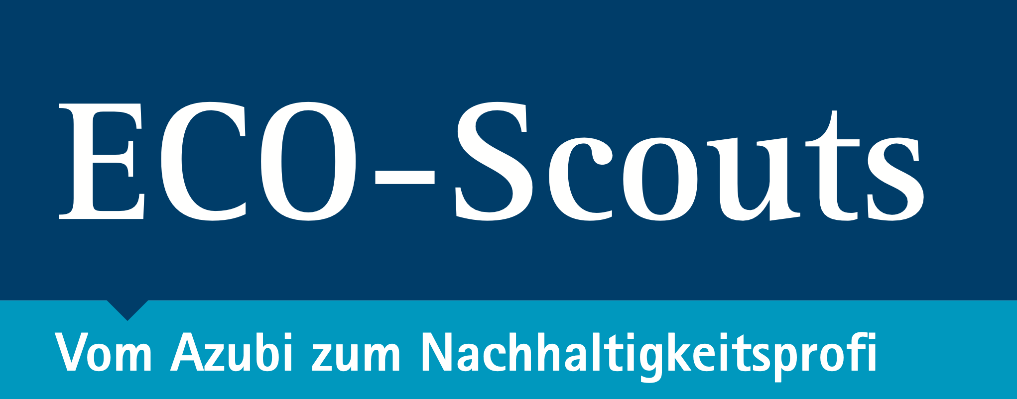 Logo ECO-Scouts Initiative
