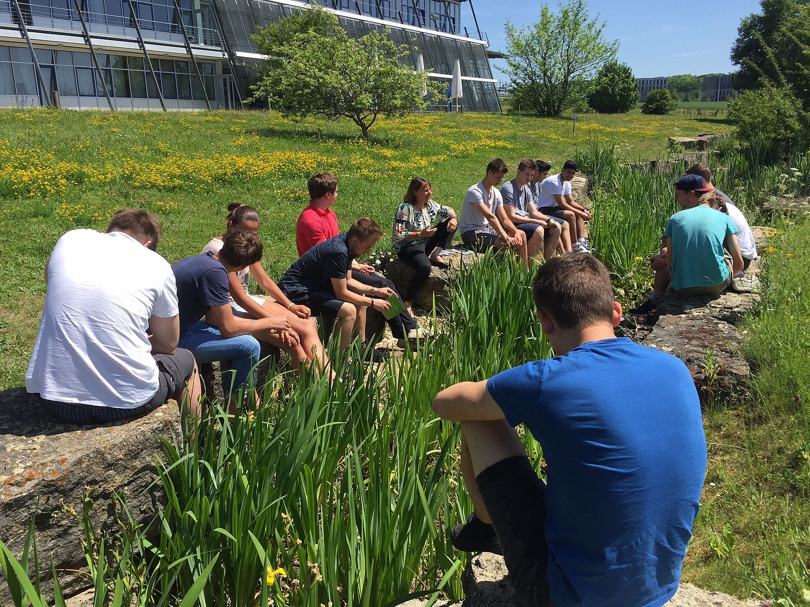 Studierende sitzen auf Steinen draußen im Gras