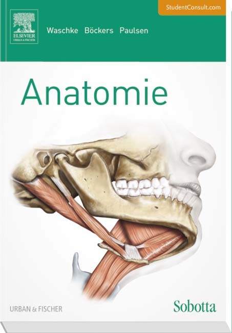 Böckers Anatomiebuch
