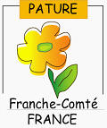 Logo der französisch sprechenden Studienzentren: orange Blume