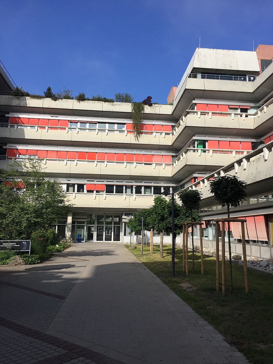 Aussenansicht Gebäude M24 der Univeristät Ulm zeigt das Institut für Molekulare und Zelluläre Anatomie mit strahlend blauem Himmel