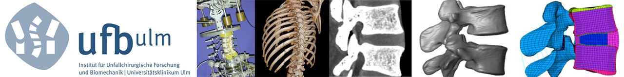 Verschiedene Bilder aus dem Forschungsbereich Wirbelsäulenbiomechanik