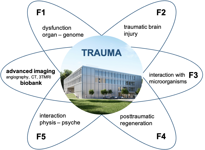The research fields of MTW consist of F1-dysfuntion organ - genome, F2-traumatic brain injury, F3-interaction with microorganisms, F4-posttraumatic regeneration, F5-interaction physis-psyche