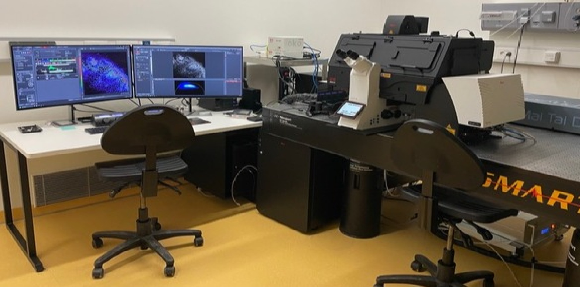 Bild des Konfokalmikroskops Leica STELLARIS FALCON DIVE