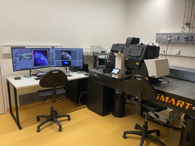 Bild des Konfokalmikroskops Leica STELLARIS FALCON DIVE