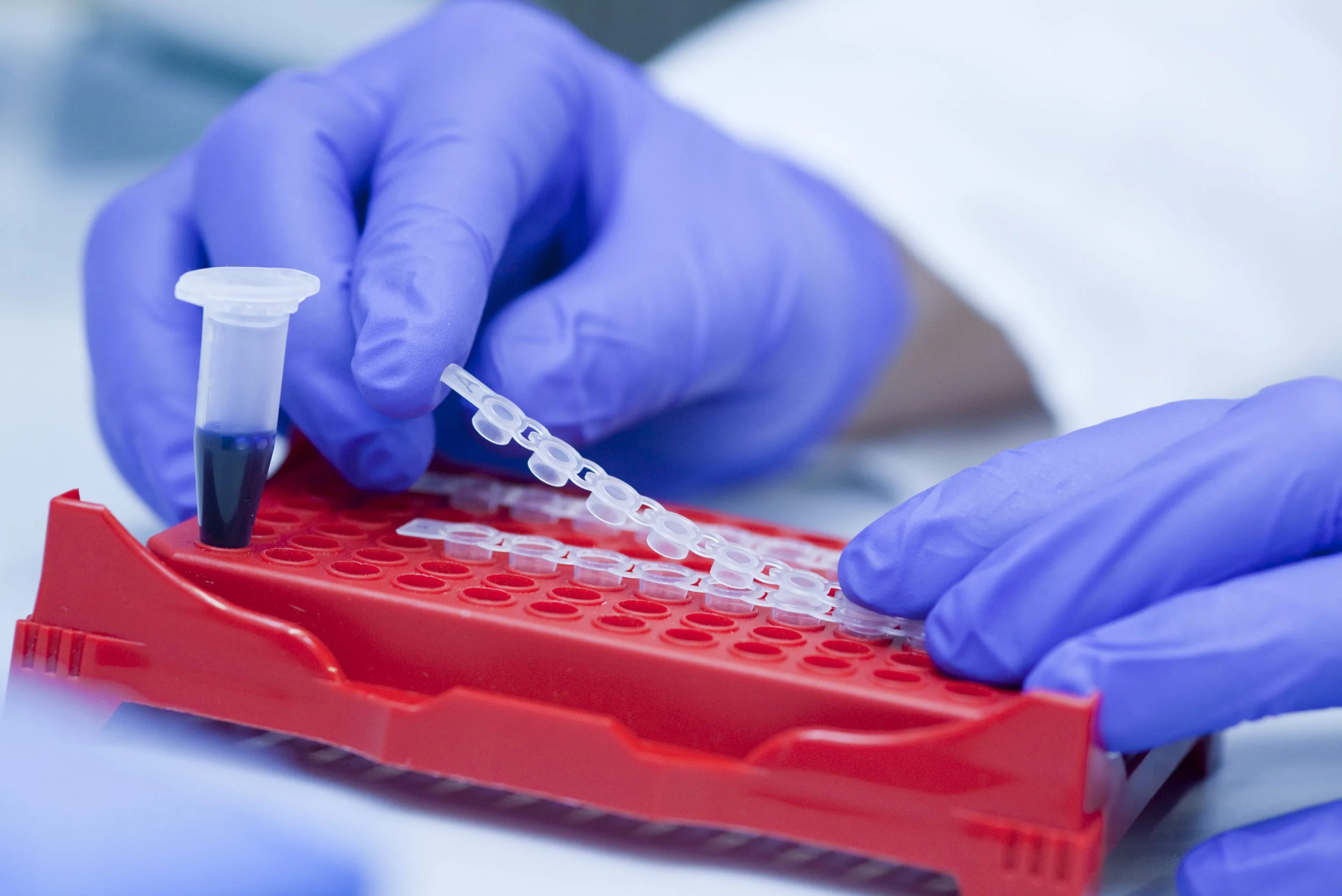 Labor (Foto: Heiko Grandel)