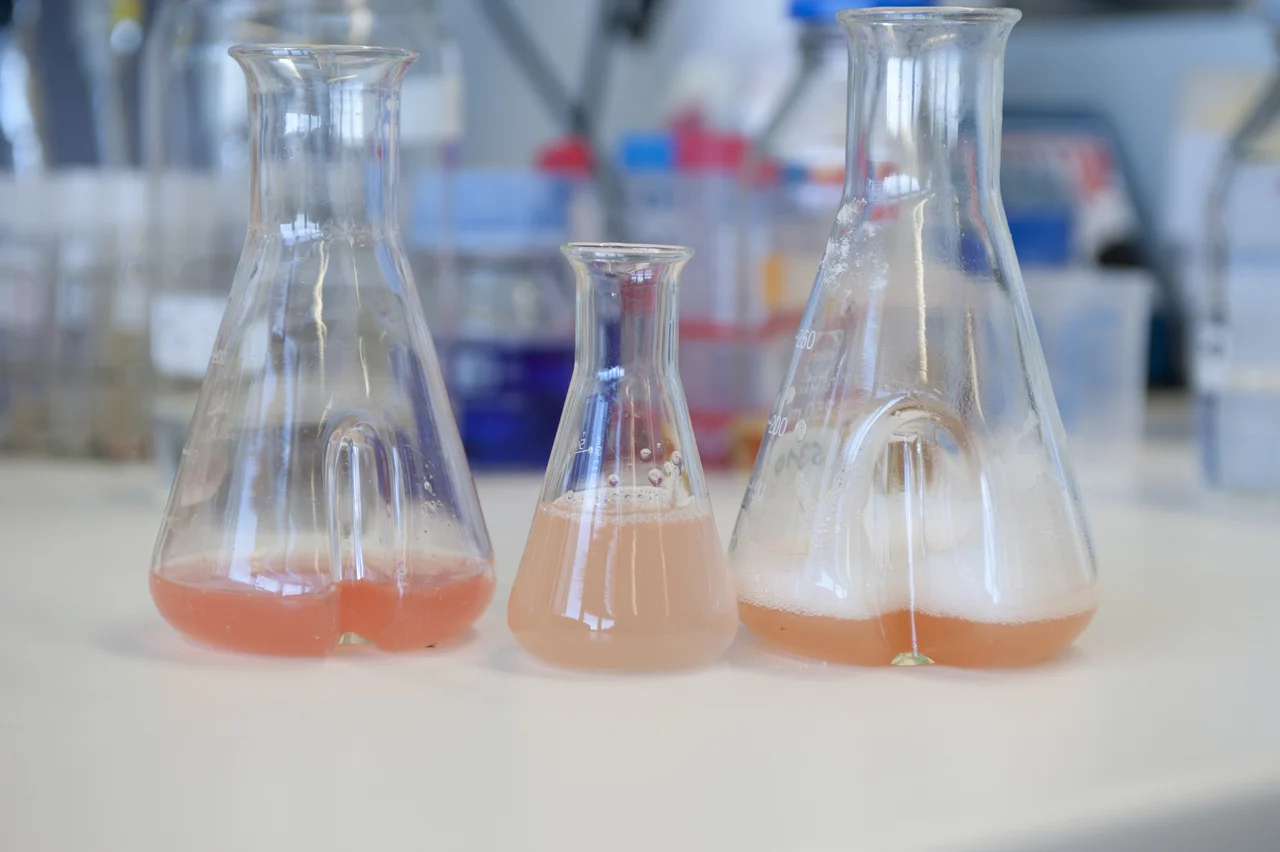 Labor (Foto: Eberhardt/Uni Ulm)