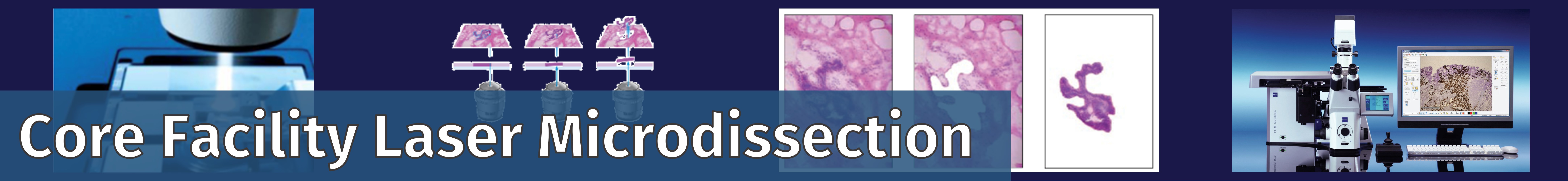 Bannertitel der CF Lasermicrodissection