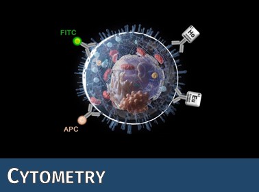 Der Zellsortierer der Core Facility Cytometry erlaubt die hochgradige Aufreinigung auch seltener Zellpopulationen.