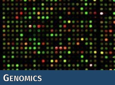 Die DNA-Sequenzierung ermöglicht die Bestimmung der Nukleotid-Abfolge in einem DNA-Molekül.