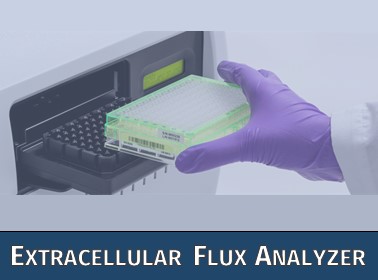 Der Seahorse Extracellular Flux Analyzer der Firma Agilent Biotechnologies ermöglicht Analysen in 96-well-Platten.