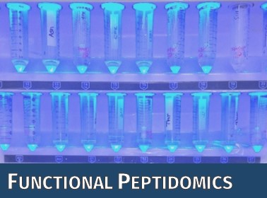 Der Peptid-Synthesizer Liberty Blue ermöglicht die Synthese von Standard- und komplexen Peptiden.