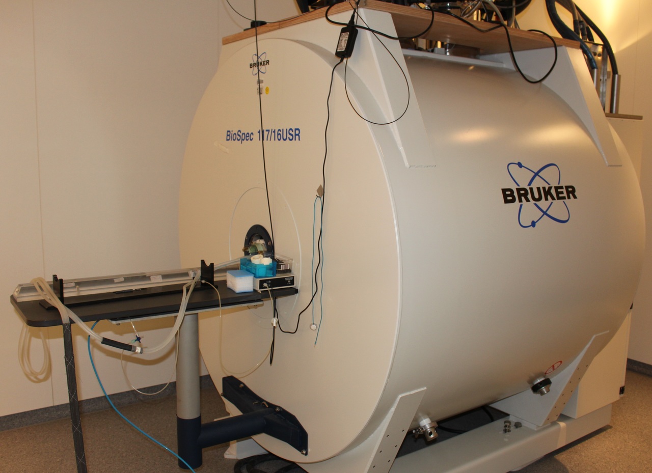 Bild des Kleintier-MRT Systems von Bruker (BioSpec 117/16)