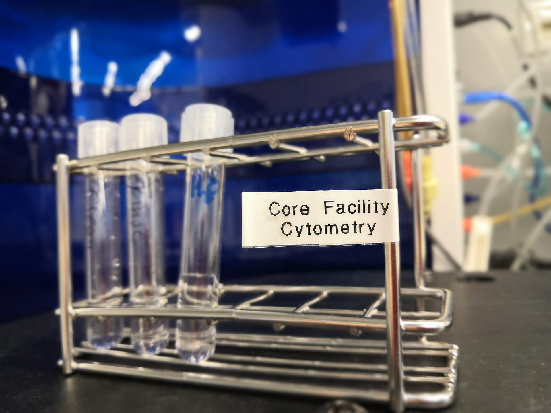 Messproben in FACS Tubes
