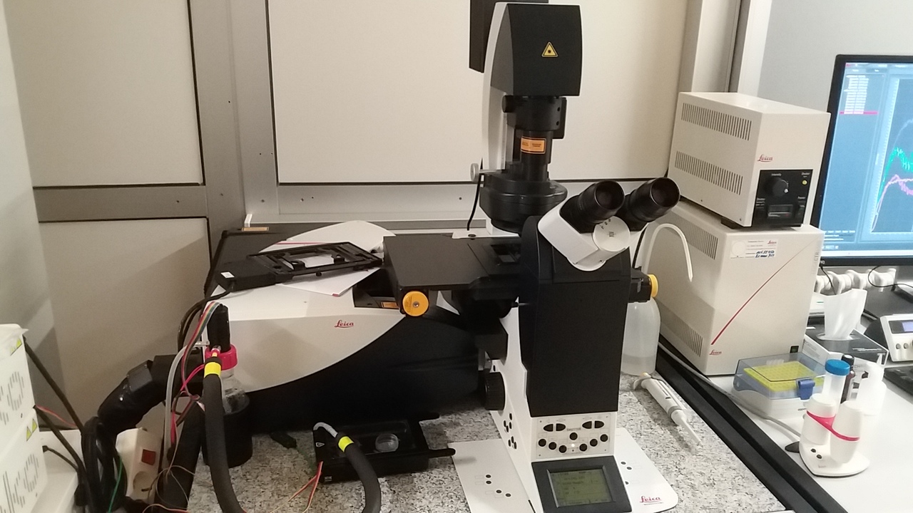 Bild des Geräts Leica TCS SP8 System