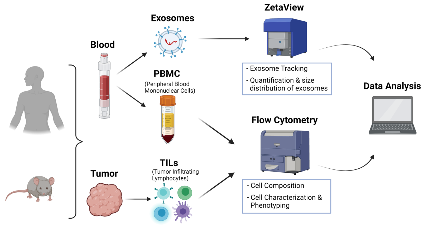 The diagram shows the Workflow in the Core Facility Immune Monitoring.