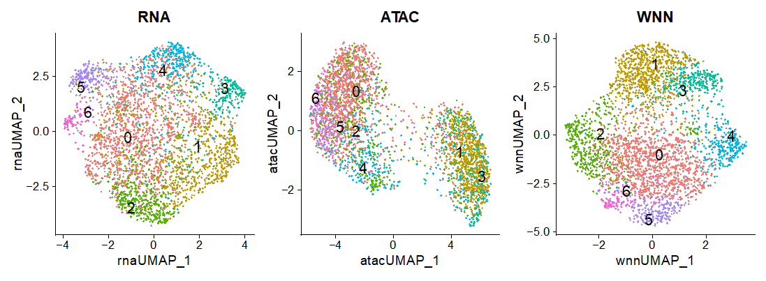 A representative multiome UMAP profile