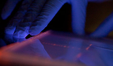 Durch UV-Licht angeregtes Gel, auf dem DNS erkennbar wird - Symbolbild für Forschungsförderung