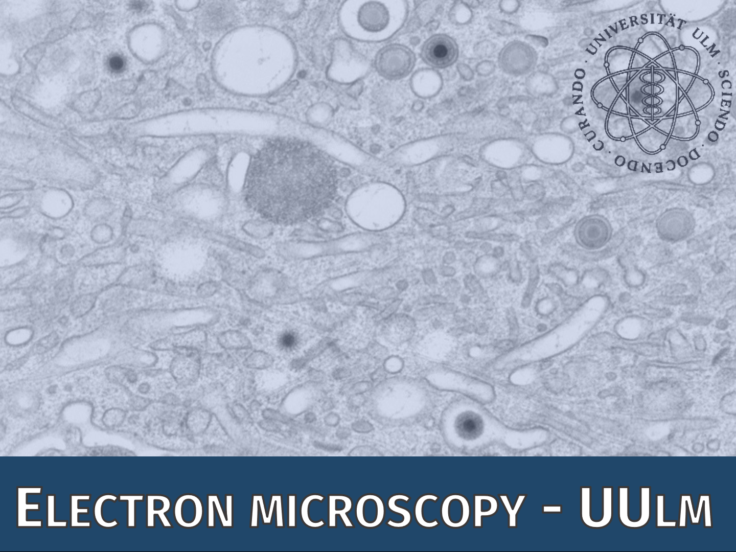 Electron Microscopy - UUlm