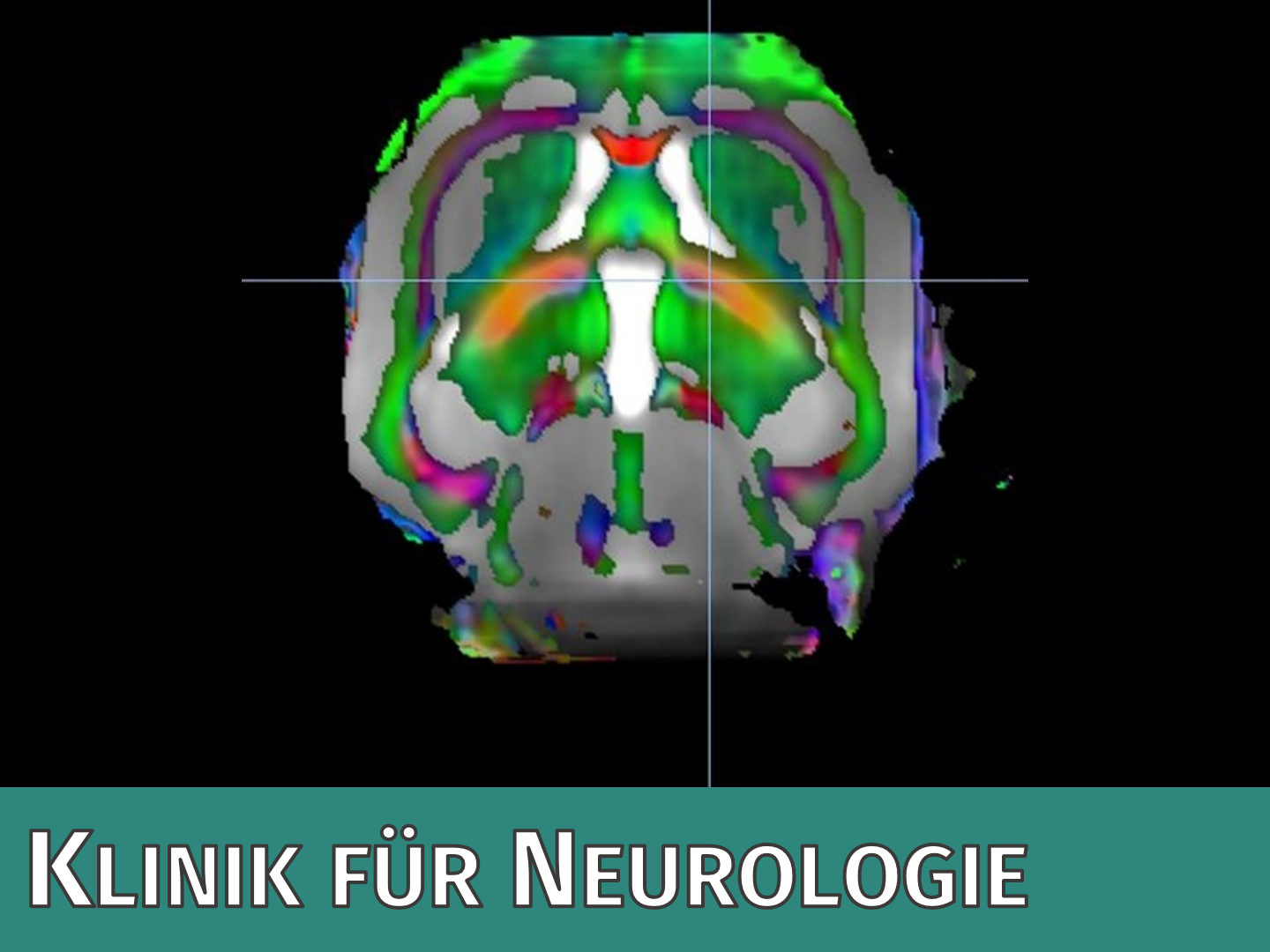 Klinik für Neurologie