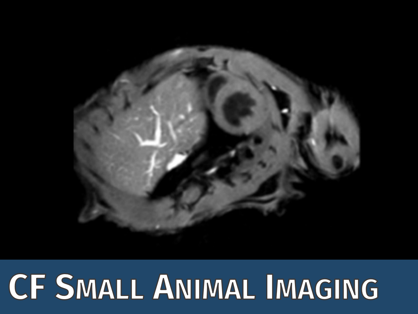 CF Small Animal Imaging