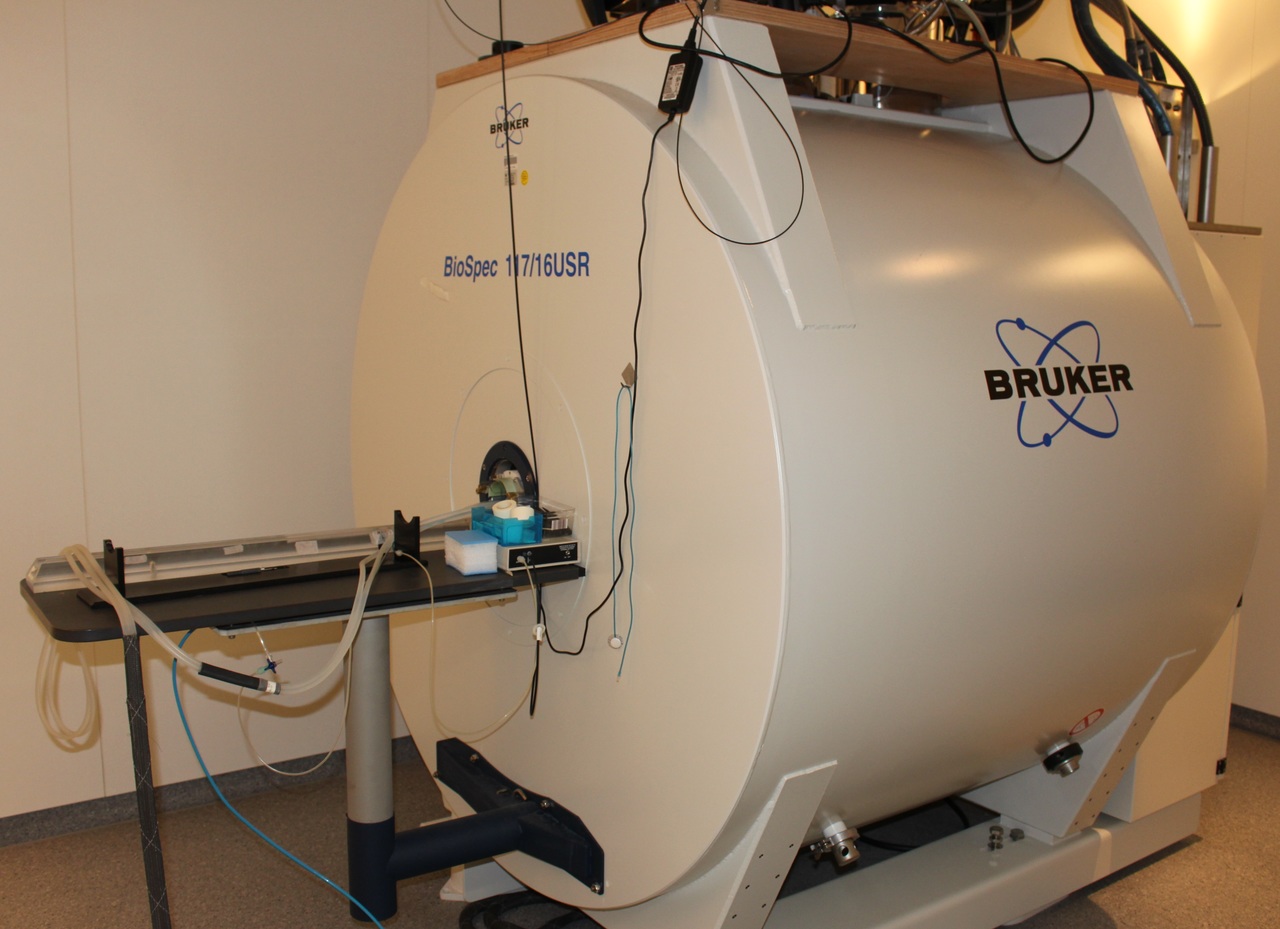 Picture of the Small animal MRI system from Bruker