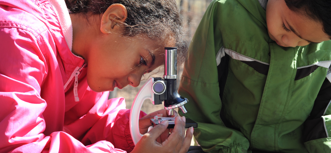 Zwei Kinder forschen in der Natur, das Mädchen links hat ein Mikroskop.