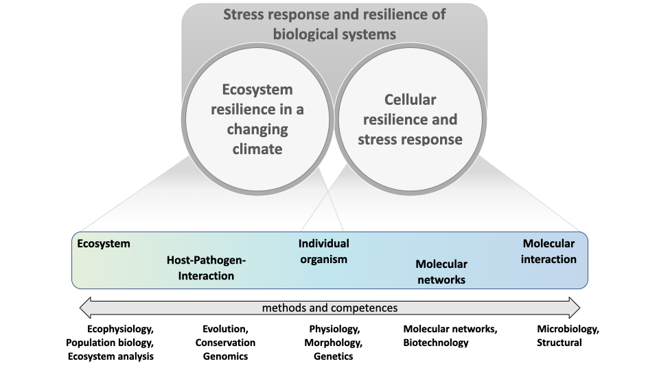 Stress response and resilience of biological systems