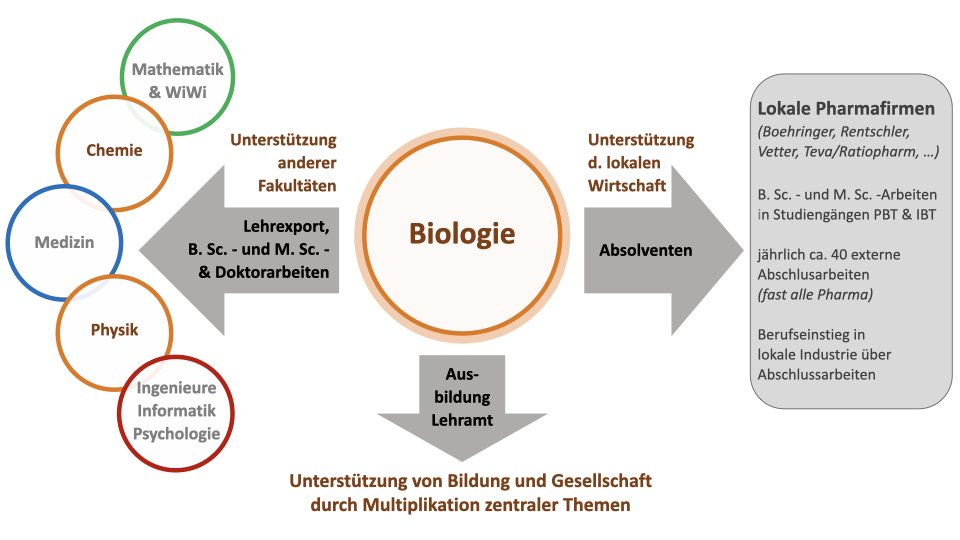 Grafik der Funktion und Eingliederung der Biologie