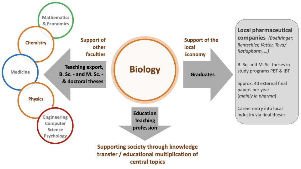 Graphic of the function and incorporation of biology