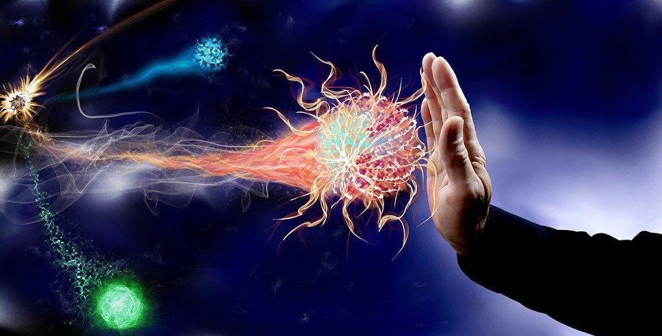Immune system