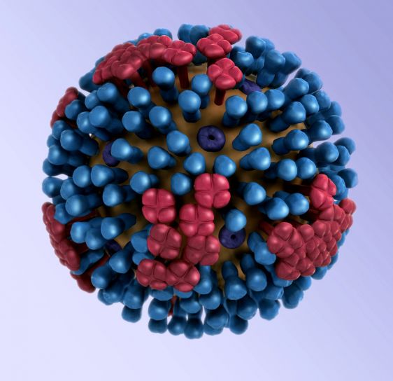 Viruses