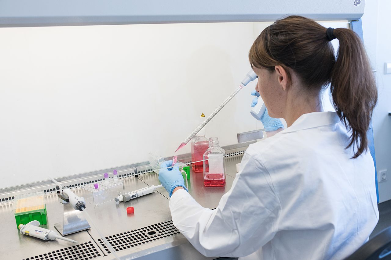 Biology Biochemisty Bachelor Ulm University