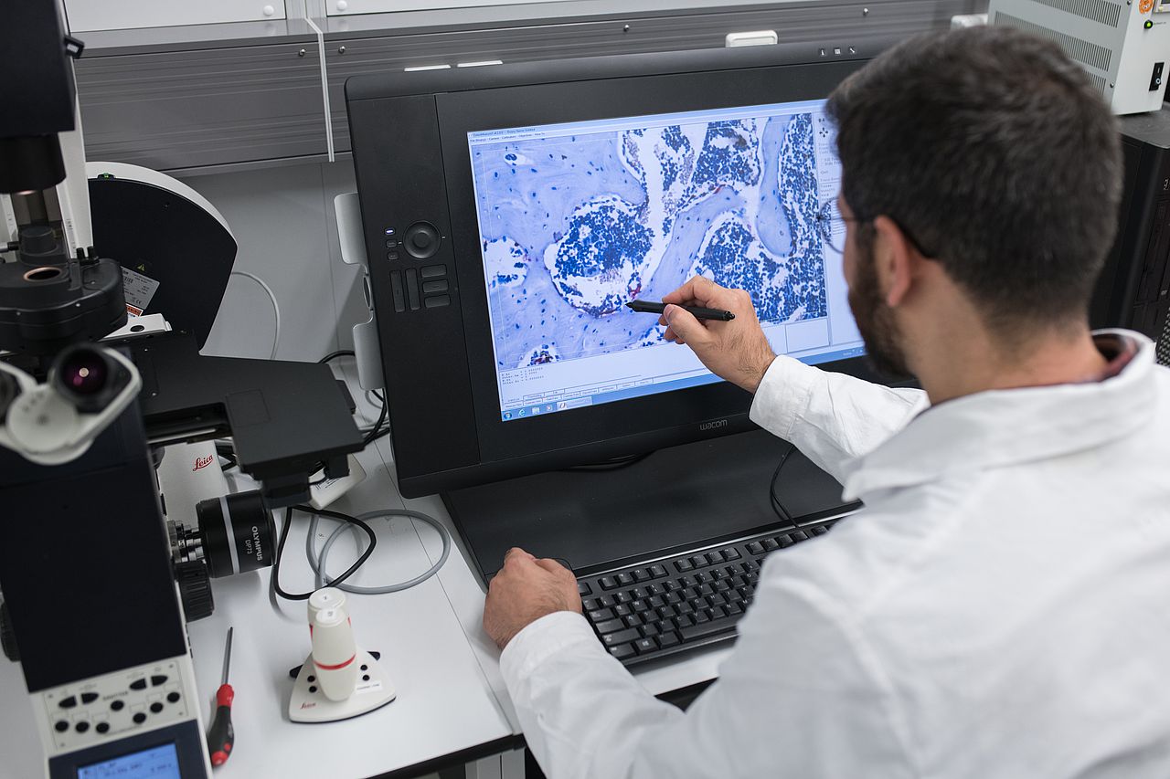 Foto: Analyse mikroskopischer Aufnahmen von histologischen Schnitten