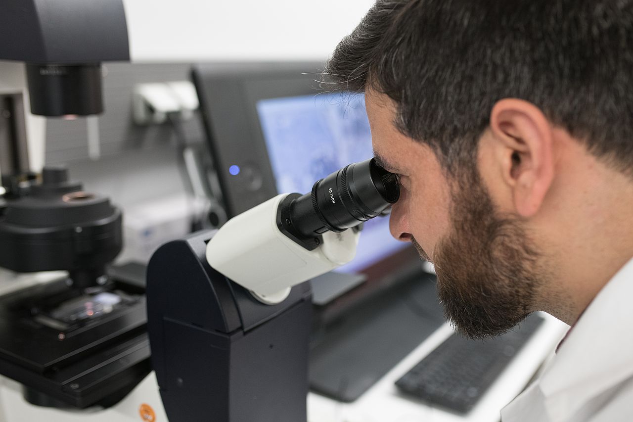 Photo: Analysis of histological sections at the microscope