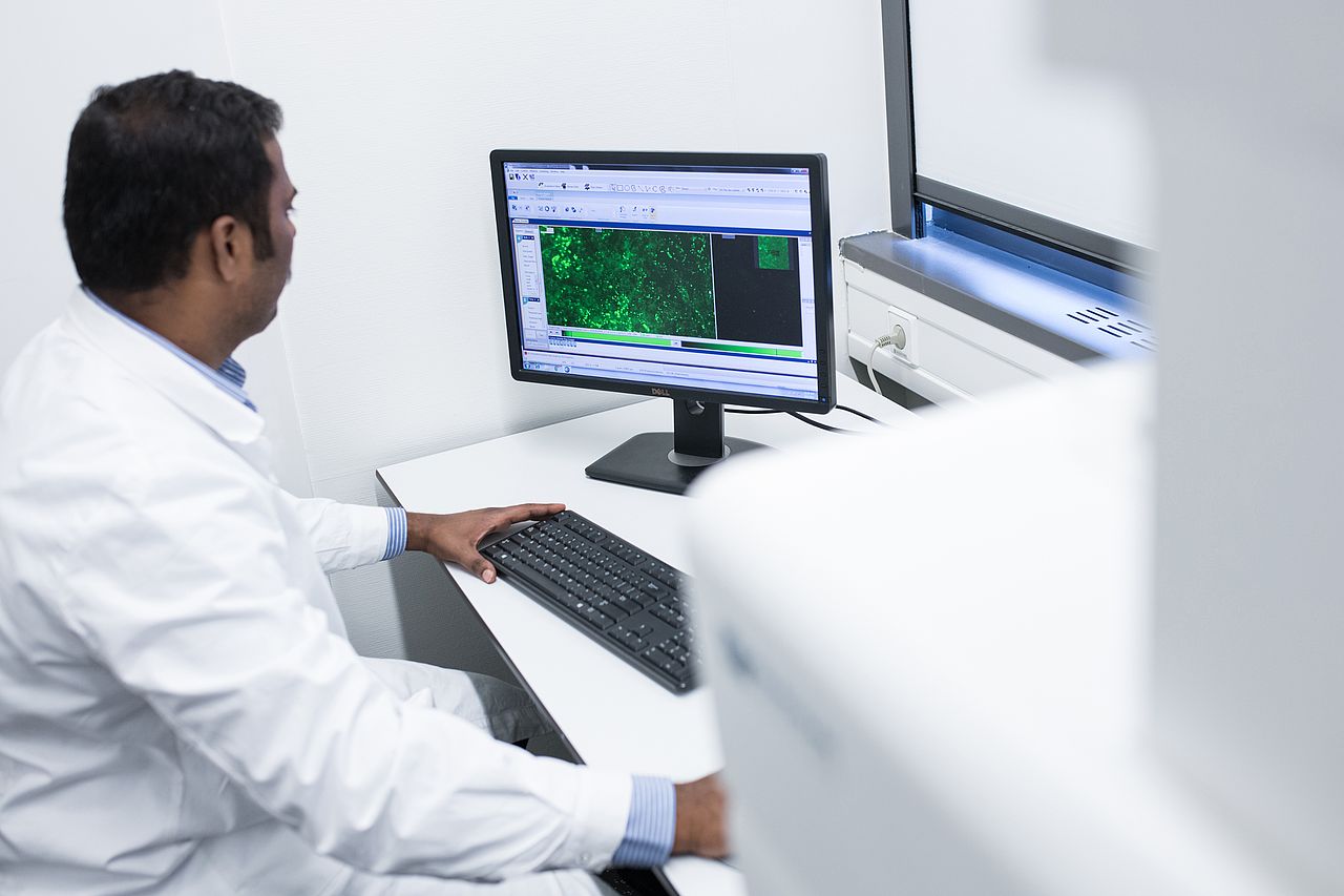 Photo: Analysis of microscopy images of fluorescence-labelled cells 