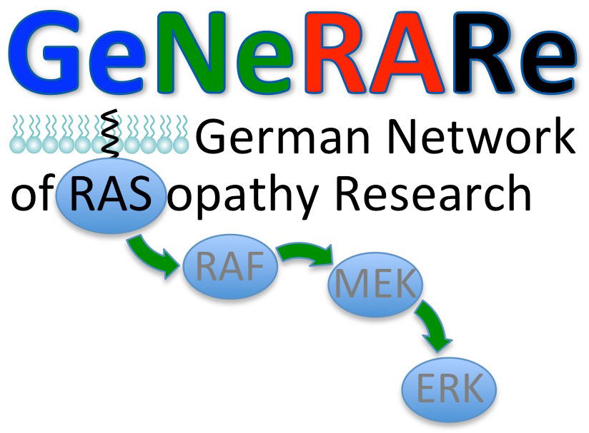 Logo Deutsches Forschungsnetzwerk für RASopathien