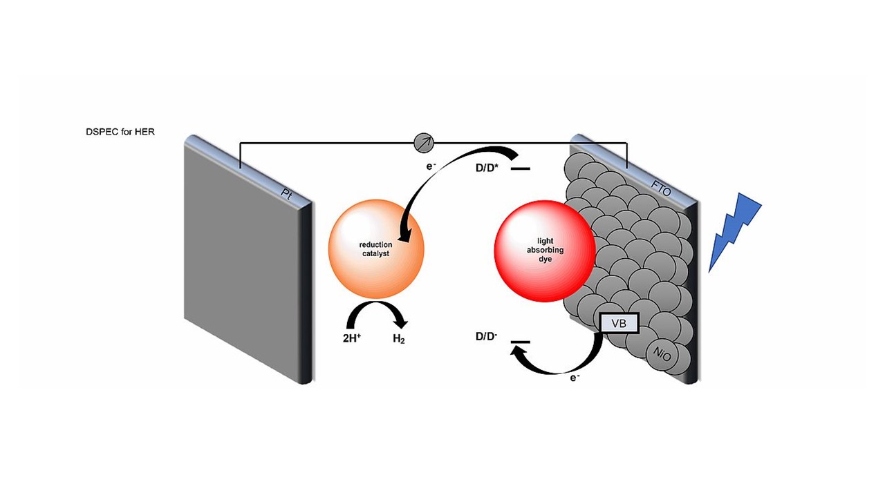 Heterogeneous catalysis