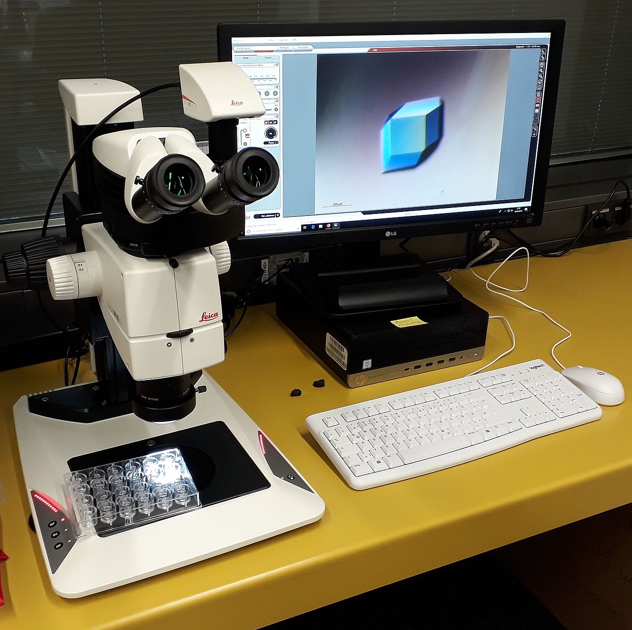 Leica binocular microscope for inspection and documentation of crystals