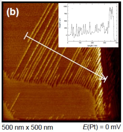 STM-image of dendritic Li-growth