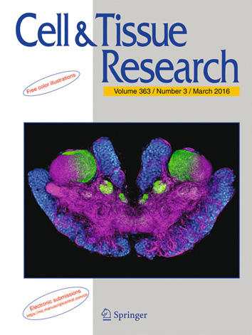 Article cover Stemme et al 2016 Olfactory pathway in Xibalbanus tulumensis