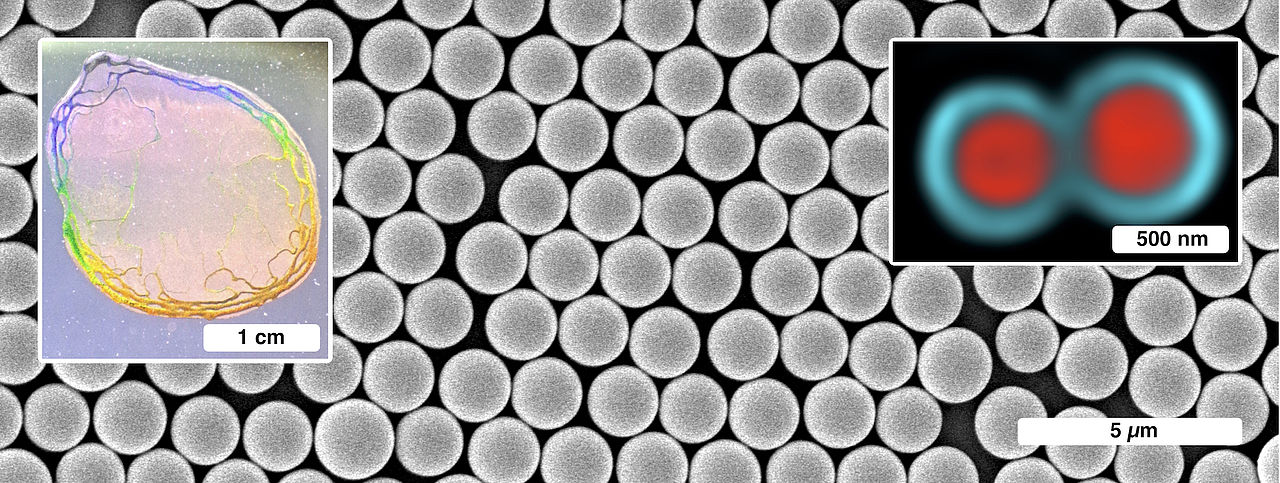 Rasterelektronenmikroskopische Aufnahme von Halbleiterpolymerpartikeln mit optischem Bild eines Kolloidkristalls und fluoreszenzmikroskopischer Aufnahme