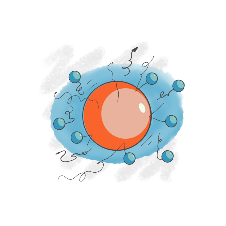 Open Quantum Systems