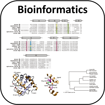 Grafiken zur Bioinformatik