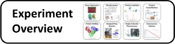 Biophysics lab courses