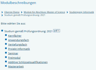 Studiengangsstruktur in Campus Online (Beispiel).