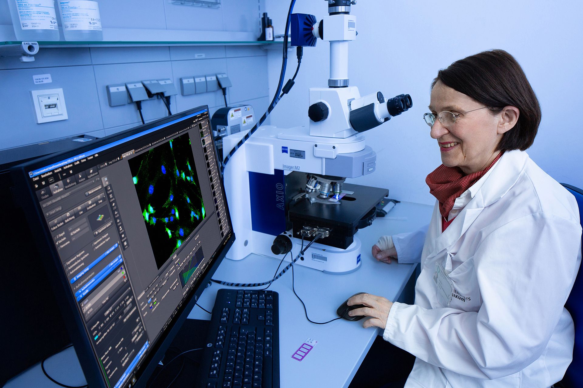 Prof. Karin Scharffetter-Kochanek bei der Analyse von seneszenten Zellen schaut auf Computerbildschirm