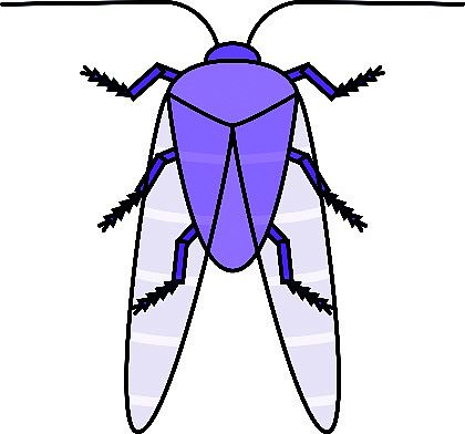 generierter Käfer